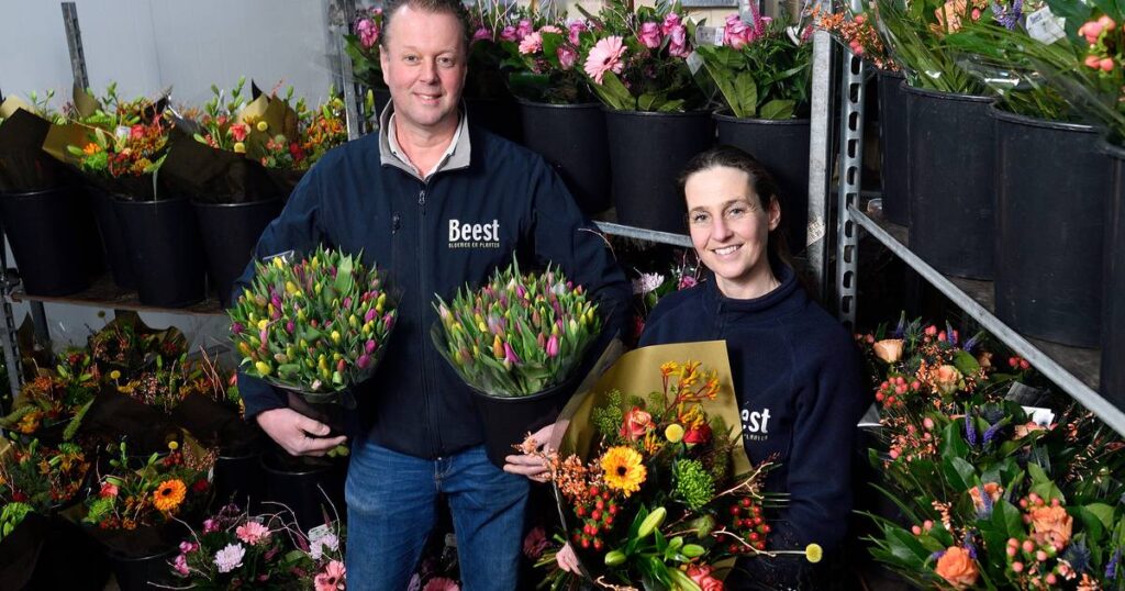 Winkelmedewerker Beest Bloemen en Planten