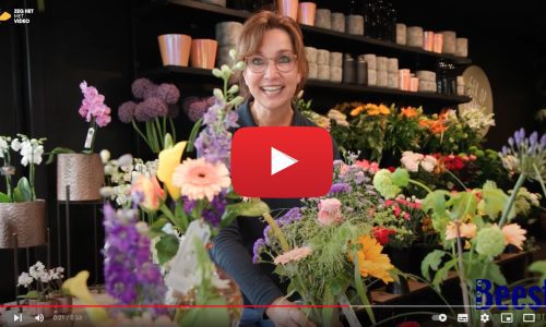 Video Beest bloemen en planten